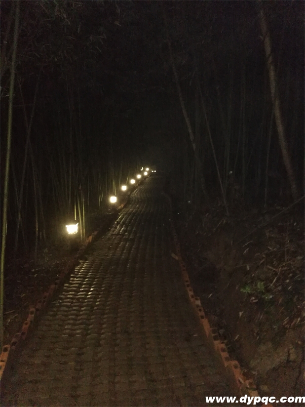 红苗客栈道路亮化实拍 红苗客栈道路亮化实拍