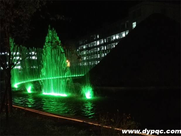 芒部中学孔雀开屏夜间实景图 芒部中学孔雀开屏夜间实景图