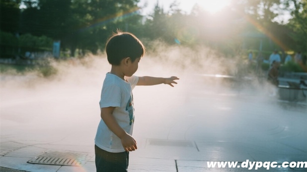 公园雾森系统近景